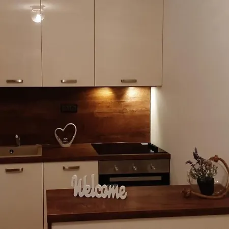 Apartament Krajacic *